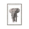 Picture of In Front Elephant _GroupedProduct_Rectangle_Portrait_Mini_ _GroupedProduct_Rectangle_Portrait_Framed_Matted_
