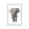 Picture of In Front Elephant _GroupedProduct_Rectangle_Portrait_Mini_ _GroupedProduct_Rectangle_Portrait_Framed_Matted_