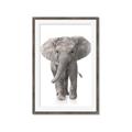 Picture of In Front Elephant _GroupedProduct_Rectangle_Portrait_Mini_ _GroupedProduct_Rectangle_Portrait_Framed_Matted_