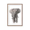 Picture of In Front Elephant _GroupedProduct_Rectangle_Portrait_Mini_ _GroupedProduct_Rectangle_Portrait_Framed_Matted_