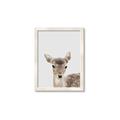 Picture of Deer   _GroupedProduct_Rectangle_Portrait_Mini_ _GroupedProduct_Rectangle_Portrait_Framed_Matted_