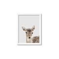 Picture of Deer   _GroupedProduct_Rectangle_Portrait_Mini_ _GroupedProduct_Rectangle_Portrait_Framed_Matted_
