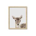 Picture of Deer   _GroupedProduct_Rectangle_Portrait_Mini_ _GroupedProduct_Rectangle_Portrait_Framed_Matted_