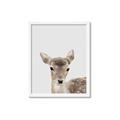 Picture of Deer   _GroupedProduct_Rectangle_Portrait_Mini_ _GroupedProduct_Rectangle_Portrait_Framed_Matted_