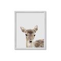 Picture of Deer   _GroupedProduct_Rectangle_Portrait_Mini_ _GroupedProduct_Rectangle_Portrait_Framed_Matted_