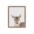 Picture of Deer   _GroupedProduct_Rectangle_Portrait_Mini_ _GroupedProduct_Rectangle_Portrait_Framed_Matted_