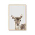 Picture of Deer   _GroupedProduct_Rectangle_Portrait_Mini_ _GroupedProduct_Rectangle_Portrait_Framed_Matted_