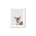 Picture of Deer   _GroupedProduct_Rectangle_Portrait_Mini_ _GroupedProduct_Rectangle_Portrait_Framed_Matted_
