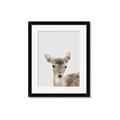 Picture of Deer   _GroupedProduct_Rectangle_Portrait_Mini_ _GroupedProduct_Rectangle_Portrait_Framed_Matted_