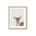 Picture of Deer   _GroupedProduct_Rectangle_Portrait_Mini_ _GroupedProduct_Rectangle_Portrait_Framed_Matted_