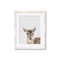 Picture of Deer   _GroupedProduct_Rectangle_Portrait_Mini_ _GroupedProduct_Rectangle_Portrait_Framed_Matted_