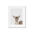 Picture of Deer   _GroupedProduct_Rectangle_Portrait_Mini_ _GroupedProduct_Rectangle_Portrait_Framed_Matted_
