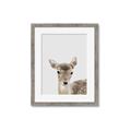 Picture of Deer   _GroupedProduct_Rectangle_Portrait_Mini_ _GroupedProduct_Rectangle_Portrait_Framed_Matted_