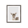 Picture of Deer   _GroupedProduct_Rectangle_Portrait_Mini_ _GroupedProduct_Rectangle_Portrait_Framed_Matted_