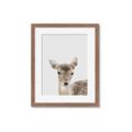 Picture of Deer   _GroupedProduct_Rectangle_Portrait_Mini_ _GroupedProduct_Rectangle_Portrait_Framed_Matted_