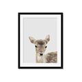 Picture of Deer   _GroupedProduct_Rectangle_Portrait_Mini_ _GroupedProduct_Rectangle_Portrait_Framed_Matted_