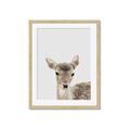 Picture of Deer   _GroupedProduct_Rectangle_Portrait_Mini_ _GroupedProduct_Rectangle_Portrait_Framed_Matted_