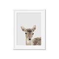 Picture of Deer   _GroupedProduct_Rectangle_Portrait_Mini_ _GroupedProduct_Rectangle_Portrait_Framed_Matted_