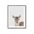 Picture of Deer   _GroupedProduct_Rectangle_Portrait_Mini_ _GroupedProduct_Rectangle_Portrait_Framed_Matted_