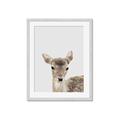 Picture of Deer   _GroupedProduct_Rectangle_Portrait_Mini_ _GroupedProduct_Rectangle_Portrait_Framed_Matted_