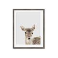 Picture of Deer   _GroupedProduct_Rectangle_Portrait_Mini_ _GroupedProduct_Rectangle_Portrait_Framed_Matted_