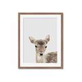 Picture of Deer   _GroupedProduct_Rectangle_Portrait_Mini_ _GroupedProduct_Rectangle_Portrait_Framed_Matted_