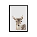 Picture of Deer   _GroupedProduct_Rectangle_Portrait_Mini_ _GroupedProduct_Rectangle_Portrait_Framed_Matted_