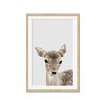 Picture of Deer   _GroupedProduct_Rectangle_Portrait_Mini_ _GroupedProduct_Rectangle_Portrait_Framed_Matted_