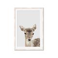 Picture of Deer   _GroupedProduct_Rectangle_Portrait_Mini_ _GroupedProduct_Rectangle_Portrait_Framed_Matted_