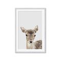 Picture of Deer   _GroupedProduct_Rectangle_Portrait_Mini_ _GroupedProduct_Rectangle_Portrait_Framed_Matted_