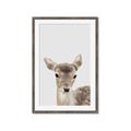 Picture of Deer   _GroupedProduct_Rectangle_Portrait_Mini_ _GroupedProduct_Rectangle_Portrait_Framed_Matted_