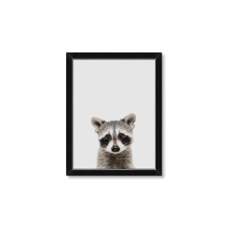 Picture of Peekaboo Raccoon _GroupedProduct_Rectangle_Portrait_Mini_ _GroupedProduct_Rectangle_Portrait_Framed_Matted_
