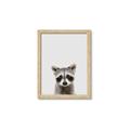 Picture of Peekaboo Raccoon _GroupedProduct_Rectangle_Portrait_Mini_ _GroupedProduct_Rectangle_Portrait_Framed_Matted_