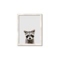 Picture of Peekaboo Raccoon _GroupedProduct_Rectangle_Portrait_Mini_ _GroupedProduct_Rectangle_Portrait_Framed_Matted_