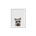 Picture of Peekaboo Raccoon _GroupedProduct_Rectangle_Portrait_Mini_ _GroupedProduct_Rectangle_Portrait_Framed_Matted_
