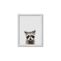 Picture of Peekaboo Raccoon _GroupedProduct_Rectangle_Portrait_Mini_ _GroupedProduct_Rectangle_Portrait_Framed_Matted_