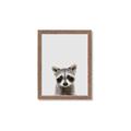 Picture of Peekaboo Raccoon _GroupedProduct_Rectangle_Portrait_Mini_ _GroupedProduct_Rectangle_Portrait_Framed_Matted_