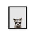 Picture of Peekaboo Raccoon _GroupedProduct_Rectangle_Portrait_Mini_ _GroupedProduct_Rectangle_Portrait_Framed_Matted_