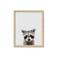 Picture of Peekaboo Raccoon _GroupedProduct_Rectangle_Portrait_Mini_ _GroupedProduct_Rectangle_Portrait_Framed_Matted_