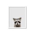 Picture of Peekaboo Raccoon _GroupedProduct_Rectangle_Portrait_Mini_ _GroupedProduct_Rectangle_Portrait_Framed_Matted_