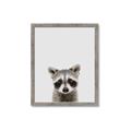 Picture of Peekaboo Raccoon _GroupedProduct_Rectangle_Portrait_Mini_ _GroupedProduct_Rectangle_Portrait_Framed_Matted_