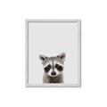 Picture of Peekaboo Raccoon _GroupedProduct_Rectangle_Portrait_Mini_ _GroupedProduct_Rectangle_Portrait_Framed_Matted_