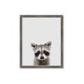Picture of Peekaboo Raccoon _GroupedProduct_Rectangle_Portrait_Mini_ _GroupedProduct_Rectangle_Portrait_Framed_Matted_