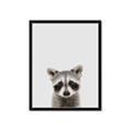 Picture of Peekaboo Raccoon _GroupedProduct_Rectangle_Portrait_Mini_ _GroupedProduct_Rectangle_Portrait_Framed_Matted_