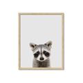 Picture of Peekaboo Raccoon _GroupedProduct_Rectangle_Portrait_Mini_ _GroupedProduct_Rectangle_Portrait_Framed_Matted_