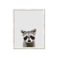 Picture of Peekaboo Raccoon _GroupedProduct_Rectangle_Portrait_Mini_ _GroupedProduct_Rectangle_Portrait_Framed_Matted_