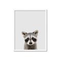 Picture of Peekaboo Raccoon _GroupedProduct_Rectangle_Portrait_Mini_ _GroupedProduct_Rectangle_Portrait_Framed_Matted_