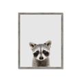 Picture of Peekaboo Raccoon _GroupedProduct_Rectangle_Portrait_Mini_ _GroupedProduct_Rectangle_Portrait_Framed_Matted_