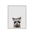 Picture of Peekaboo Raccoon _GroupedProduct_Rectangle_Portrait_Mini_ _GroupedProduct_Rectangle_Portrait_Framed_Matted_