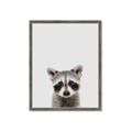 Picture of Peekaboo Raccoon _GroupedProduct_Rectangle_Portrait_Mini_ _GroupedProduct_Rectangle_Portrait_Framed_Matted_
